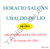 Gallo ciego